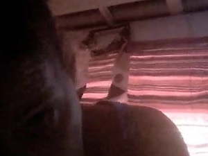 wife 69swallow
