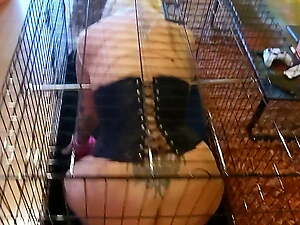First time in cage